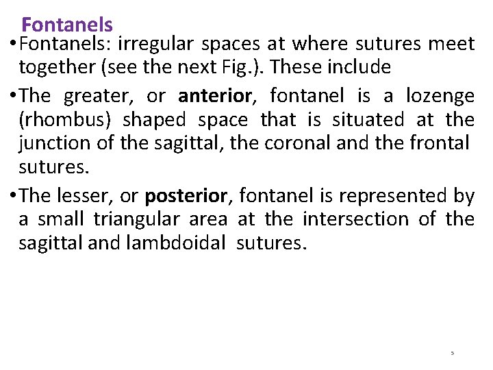 Fontanels • Fontanels: irregular spaces at where sutures meet together (see the next Fig.