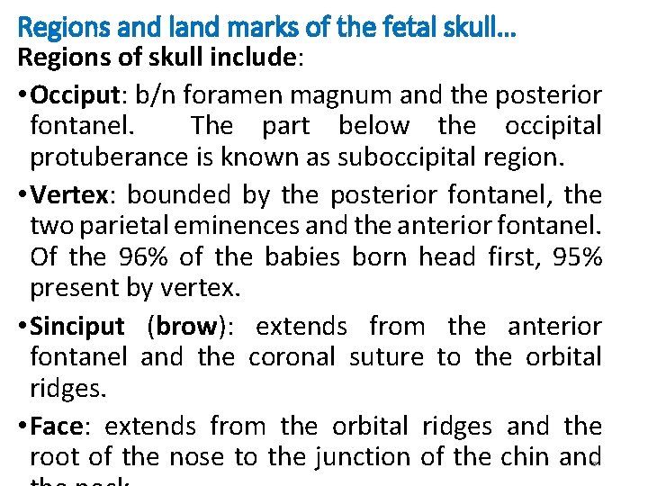 Regions and land marks of the fetal skull… Regions of skull include: • Occiput: