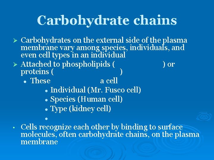 Carbohydrate chains Carbohydrates on the external side of the plasma membrane vary among species, Carbohydrate chains Carbohydrates on the external side of the plasma membrane vary among species,
