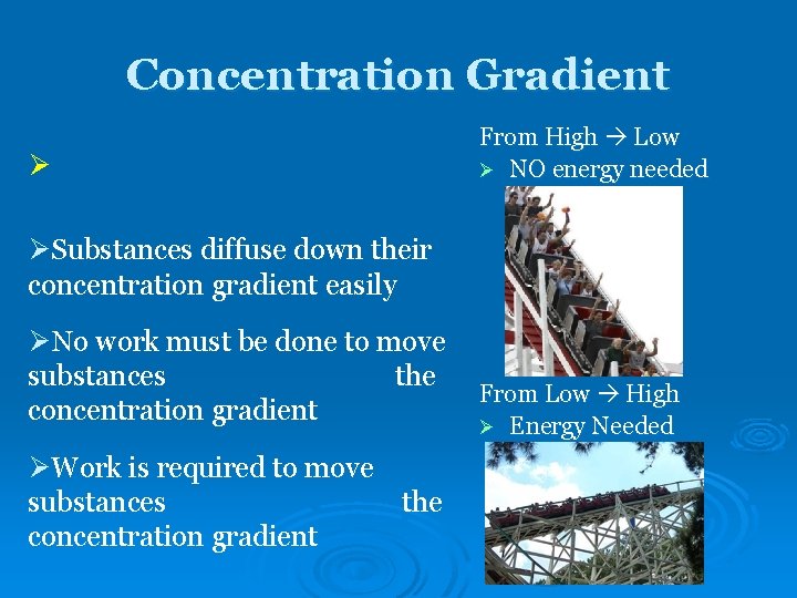 Concentration Gradient Ø From High Low Ø NO energy needed ØSubstances diffuse down their Concentration Gradient Ø From High Low Ø NO energy needed ØSubstances diffuse down their