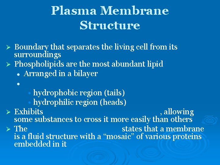 Plasma Membrane Structure Boundary that separates the living cell from its surroundings Ø Phospholipids Plasma Membrane Structure Boundary that separates the living cell from its surroundings Ø Phospholipids