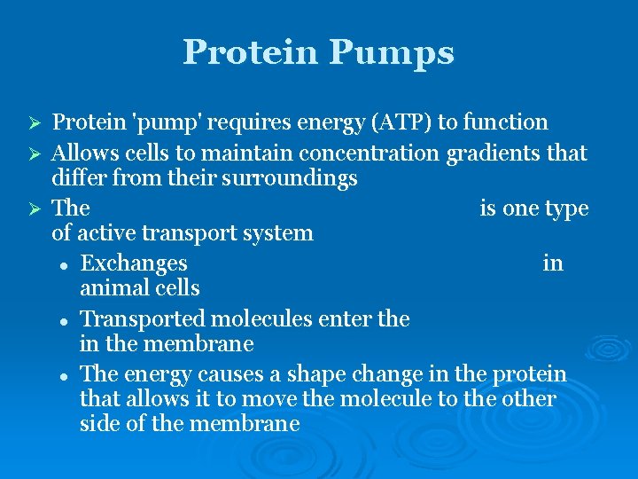 Protein Pumps Protein 'pump' requires energy (ATP) to function Ø Allows cells to maintain Protein Pumps Protein 'pump' requires energy (ATP) to function Ø Allows cells to maintain