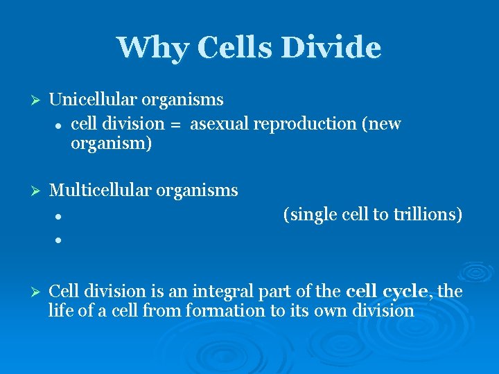 Why Cells Divide Ø Unicellular organisms l cell division = asexual reproduction (new organism) Why Cells Divide Ø Unicellular organisms l cell division = asexual reproduction (new organism)