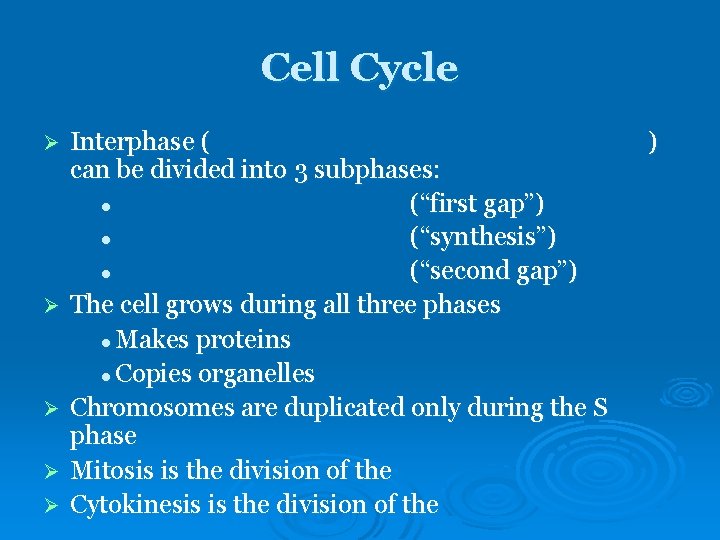 Cell Cycle Ø Ø Ø Interphase ( can be divided into 3 subphases: l Cell Cycle Ø Ø Ø Interphase ( can be divided into 3 subphases: l