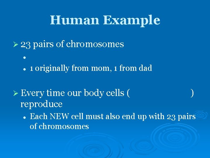 Human Example Ø 23 pairs of chromosomes l l 1 originally from mom, 1 Human Example Ø 23 pairs of chromosomes l l 1 originally from mom, 1