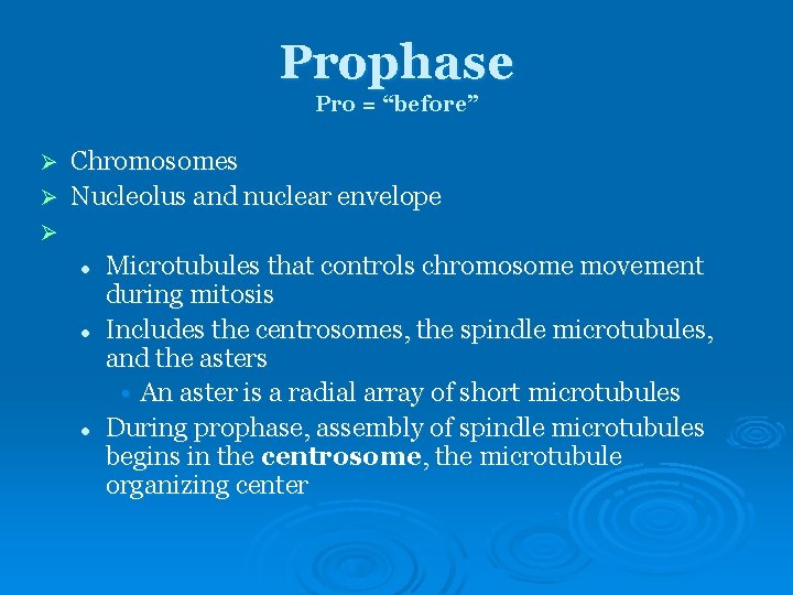 Prophase Pro = “before” Chromosomes Ø Nucleolus and nuclear envelope Ø Ø l l Prophase Pro = “before” Chromosomes Ø Nucleolus and nuclear envelope Ø Ø l l