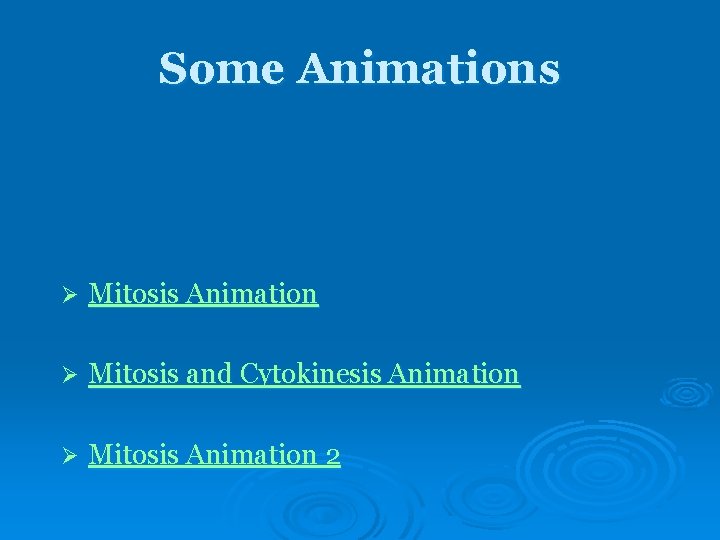 Some Animations Ø Mitosis Animation Ø Mitosis and Cytokinesis Animation Ø Mitosis Animation 2 Some Animations Ø Mitosis Animation Ø Mitosis and Cytokinesis Animation Ø Mitosis Animation 2