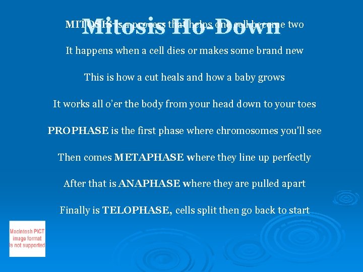Mitosis Ho-Down MITOSIS is a process that helps one cell become two It happens Mitosis Ho-Down MITOSIS is a process that helps one cell become two It happens