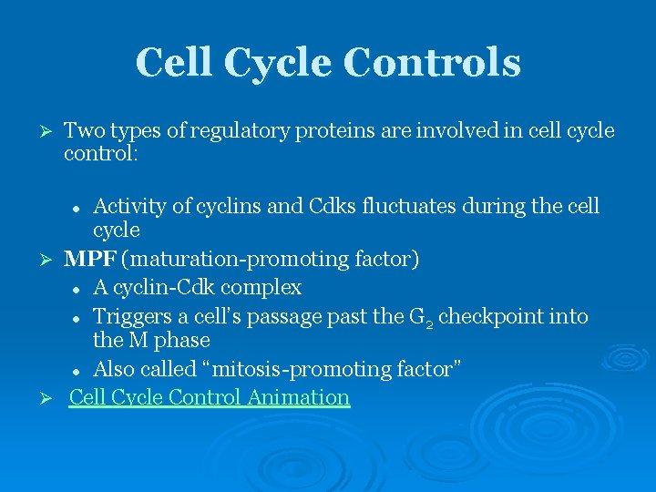 Cell Cycle Controls Ø Two types of regulatory proteins are involved in cell cycle Cell Cycle Controls Ø Two types of regulatory proteins are involved in cell cycle