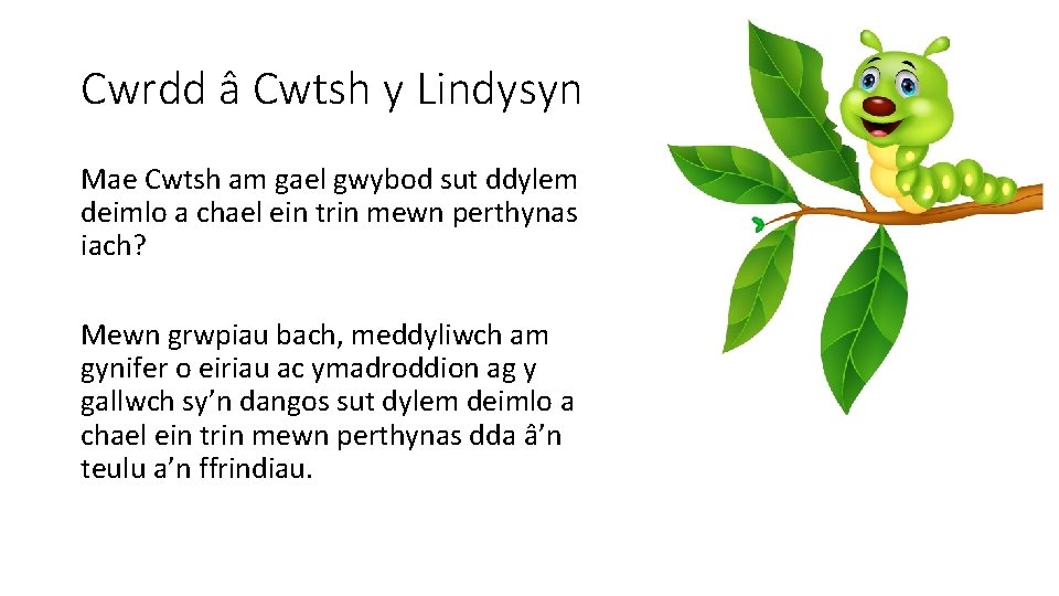 Cwrdd â Cwtsh y Lindysyn Mae Cwtsh am gael gwybod sut ddylem deimlo a