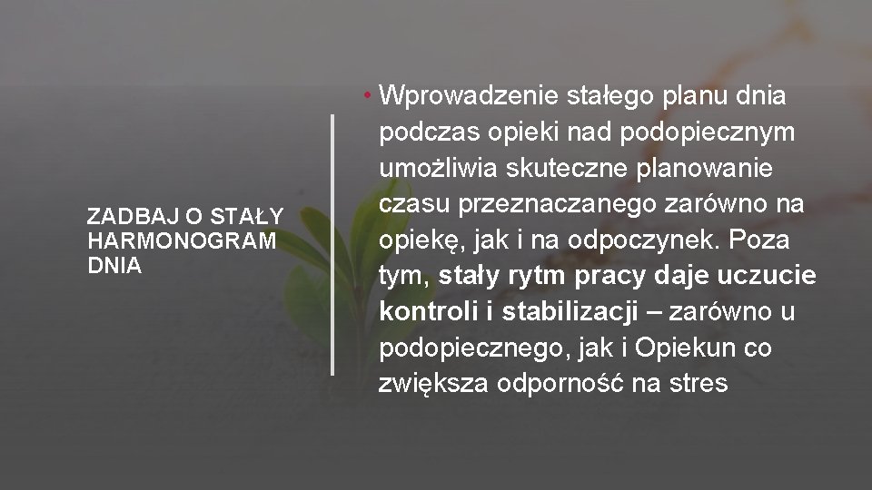 ZADBAJ O STAŁY HARMONOGRAM DNIA • Wprowadzenie stałego planu dnia podczas opieki nad podopiecznym