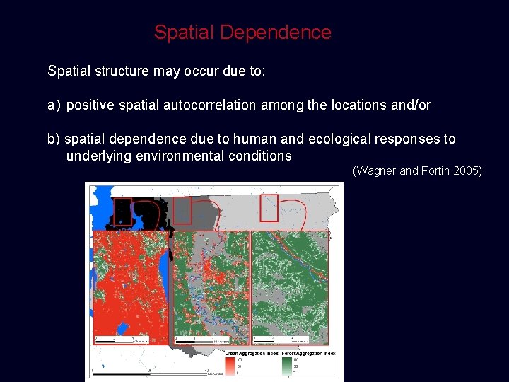 Spatial Dependence Spatial structure may occur due to: a) positive spatial autocorrelation among the