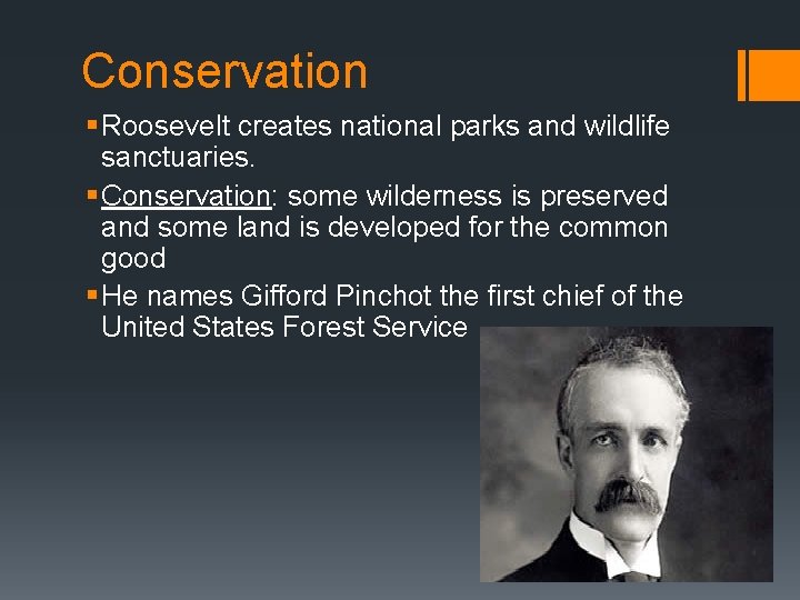 Conservation § Roosevelt creates national parks and wildlife sanctuaries. § Conservation: some wilderness is