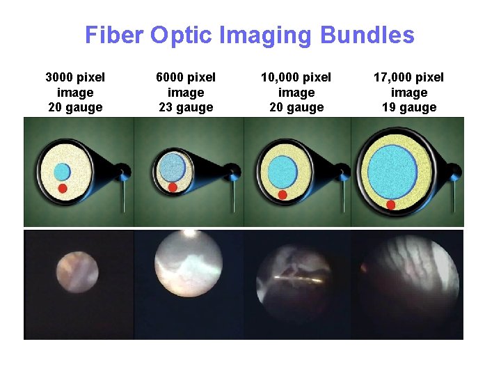 Fiber Optic Imaging Bundles 3000 pixel image 20 gauge 6000 pixel image 23 gauge