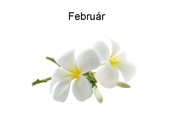 Február 