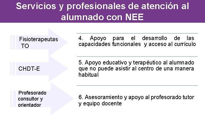 Servicios y profesionales de atención al alumnado con NEE Fisioterapeutas TO 4. Apoyo para