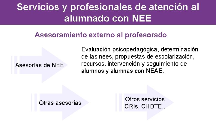 Servicios y profesionales de atención al alumnado con NEE Asesoramiento externo al profesorado Asesorías