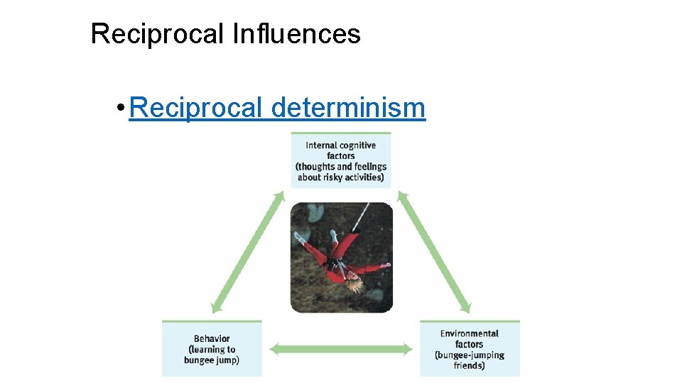 Reciprocal Influences • Reciprocal determinism 