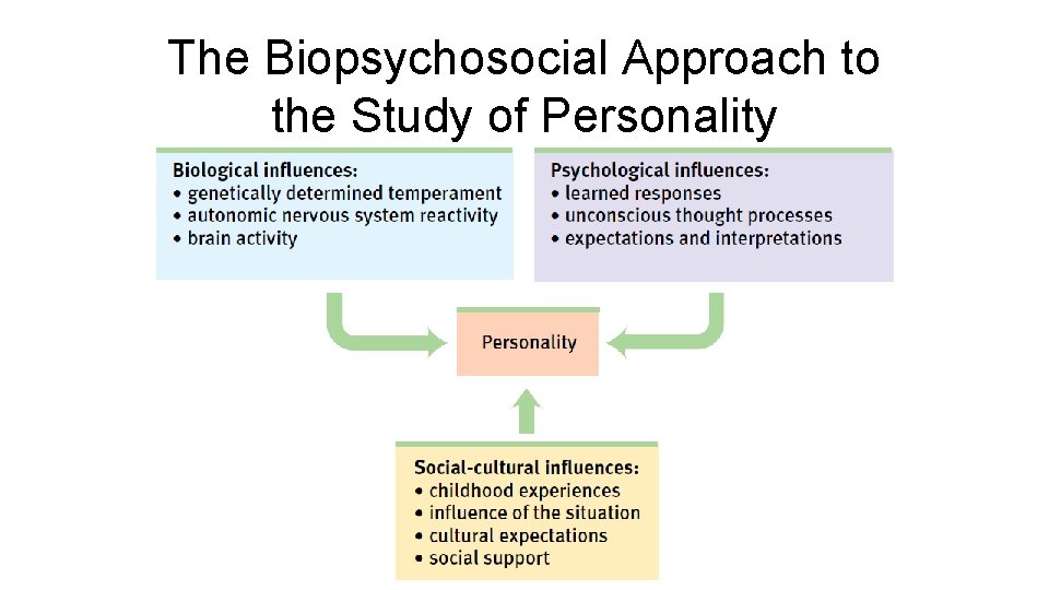 The Biopsychosocial Approach to the Study of Personality 