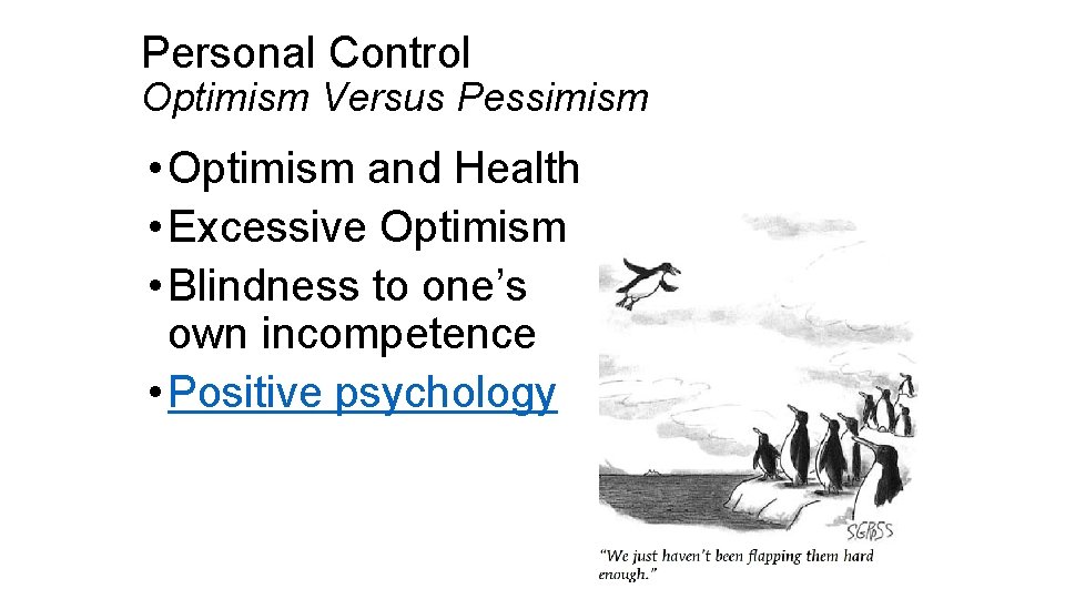 Personal Control Optimism Versus Pessimism • Optimism and Health • Excessive Optimism • Blindness