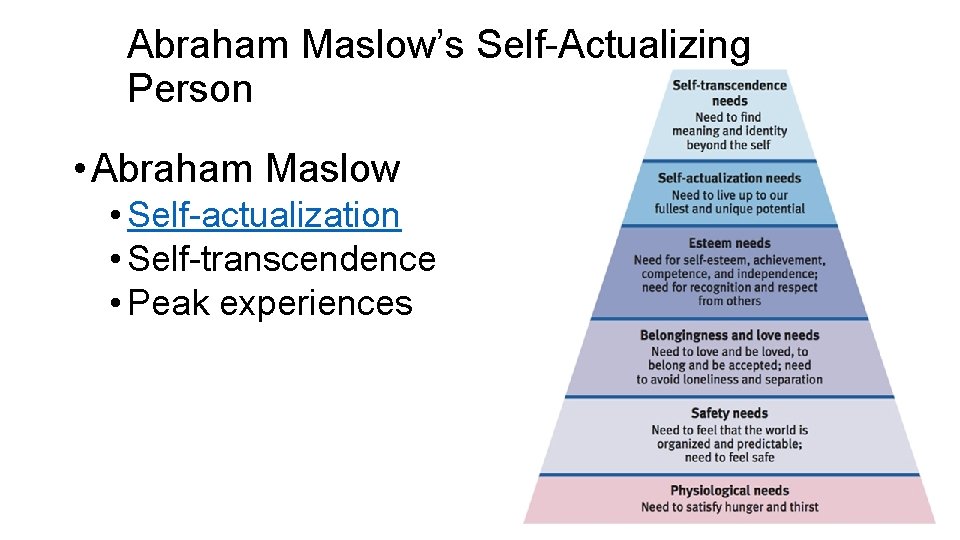 Abraham Maslow’s Self-Actualizing Person • Abraham Maslow • Self-actualization • Self-transcendence • Peak experiences