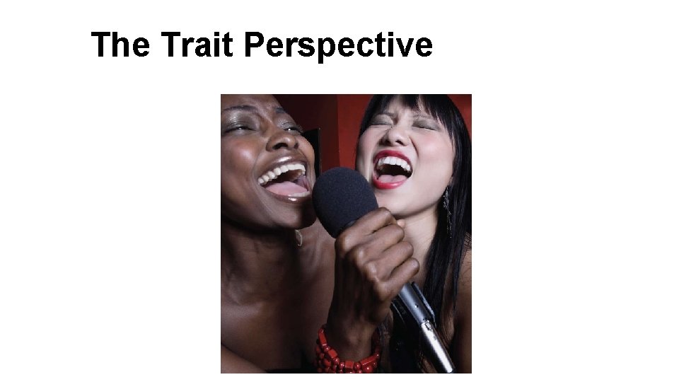 The Trait Perspective 