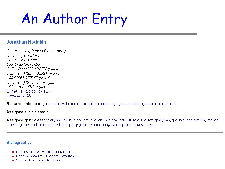 An Author Entry 