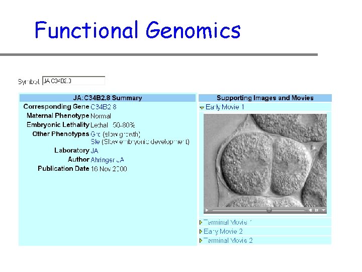 Functional Genomics 