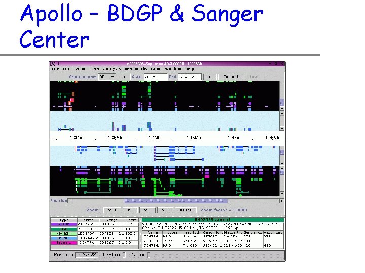 Apollo – BDGP & Sanger Center 
