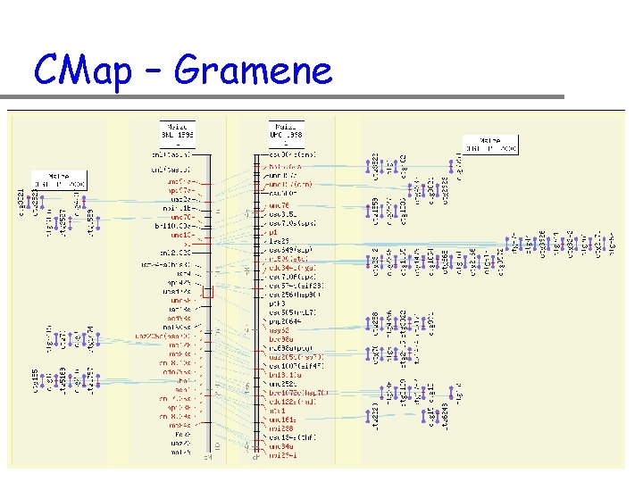 CMap – Gramene 