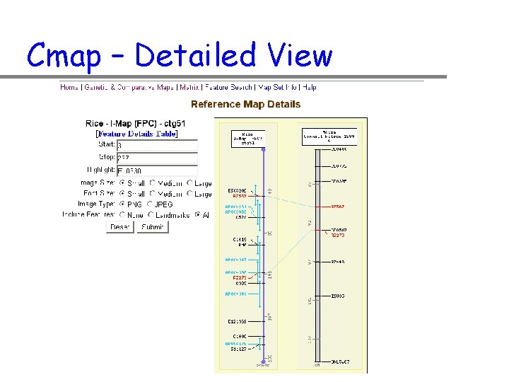 Cmap – Detailed View 