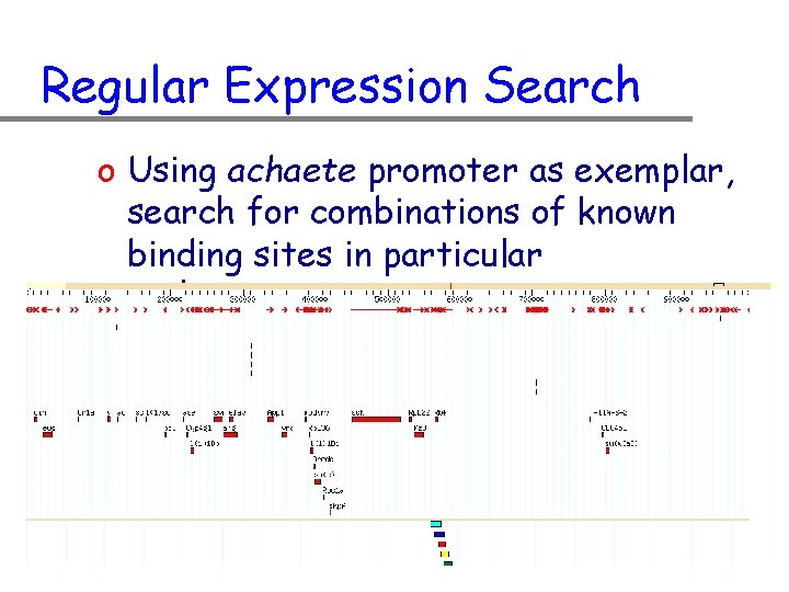 Regular Expression Search o Using achaete promoter as exemplar, search for combinations of known