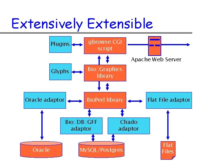 Extensively Extensible Plugins gbrowse CGI script Apache Web Server Glyphs Oracle adaptor Bio: :