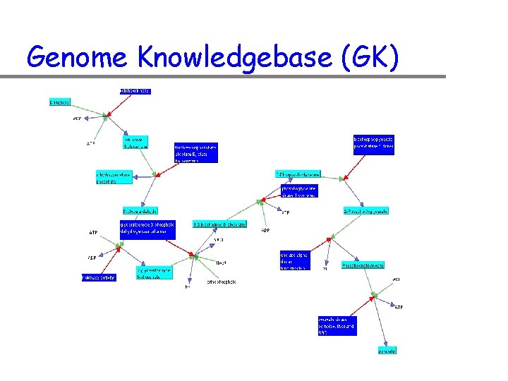 Genome Knowledgebase (GK) 