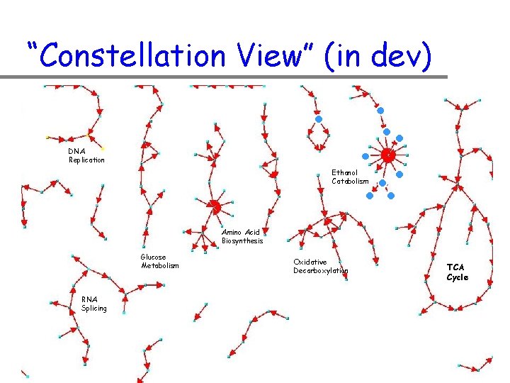 “Constellation View” (in dev) DNA Replication Ethanol Catabolism Amino Acid Biosynthesis Glucose Metabolism RNA
