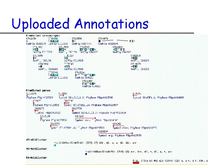 Uploaded Annotations 