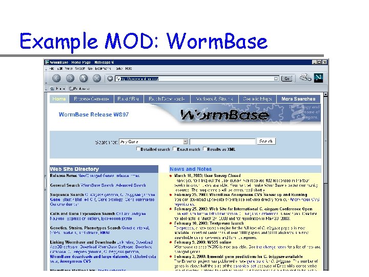Example MOD: Worm. Base 