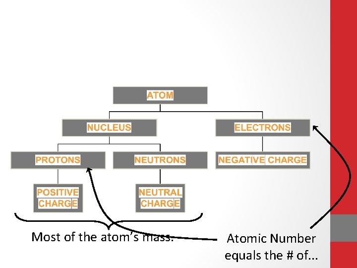 Most of the atom’s mass. Atomic Number equals the # of. . . Most of the atom’s mass. Atomic Number equals the # of. . .