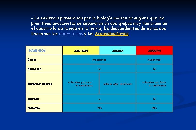 - La evidencia presentada por la biología molecular sugiere que los primitivos procariotas se