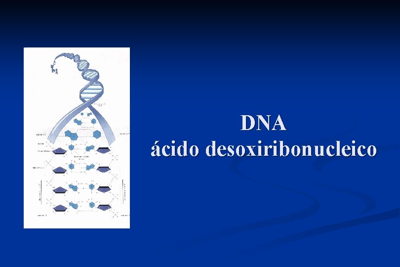 DNA ácido desoxiribonucleico 