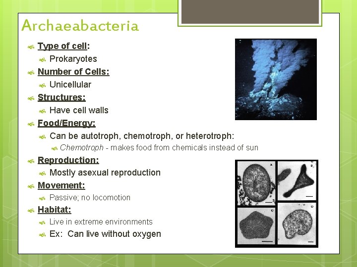 Archaeabacteria Type of cell: Prokaryotes Number of Cells: Unicellular Structures: Have cell walls Food/Energy: