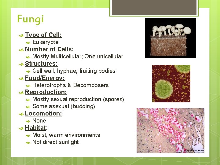 Fungi Type of Cell: Number of Cells: Mostly sexual reproduction (spores) Some asexual (budding)