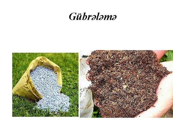 Gübrələmə 