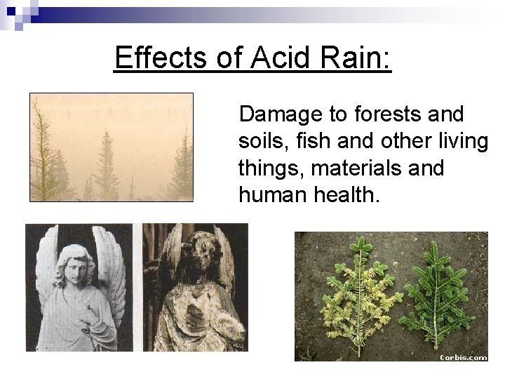 Effects of Acid Rain: Damage to forests and soils, fish and other living things,