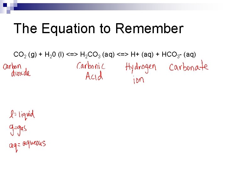 The Equation to Remember CO 2 (g) + H 20 (l) <=> H 2