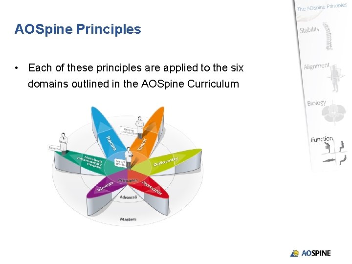AOSpine Principles • Each of these principles are applied to the six domains outlined