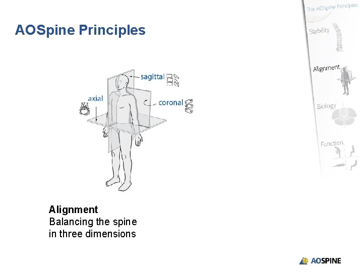 AOSpine Principles Alignment Balancing the spine in three dimensions 