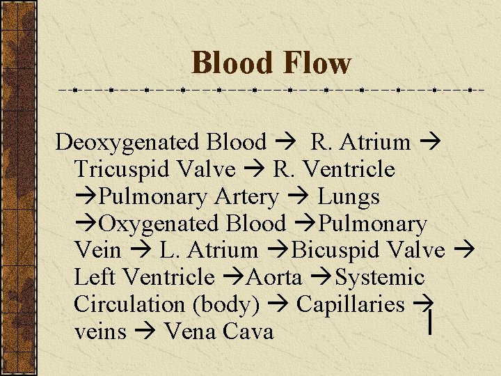 Blood Flow Deoxygenated Blood R. Atrium Tricuspid Valve R. Ventricle Pulmonary Artery Lungs Oxygenated