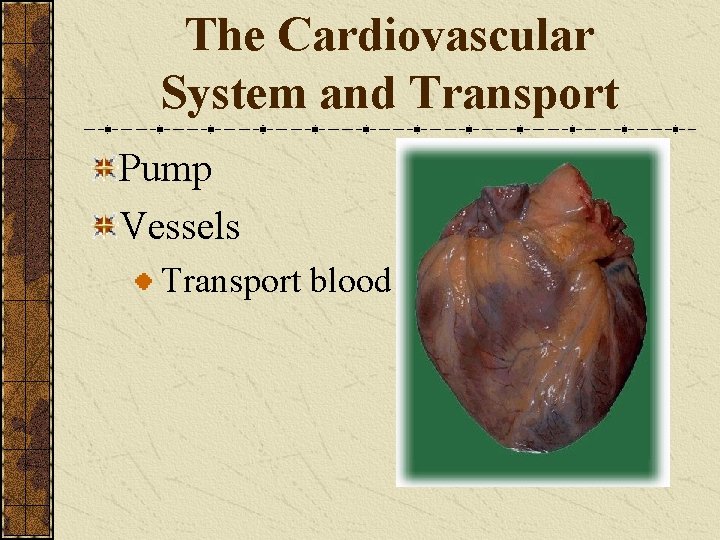 The Cardiovascular System and Transport Pump Vessels Transport blood 