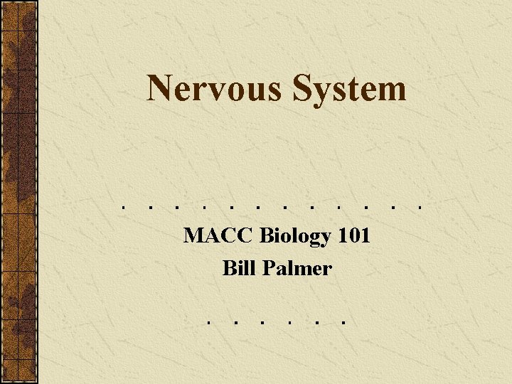 Nervous System MACC Biology 101 Bill Palmer 